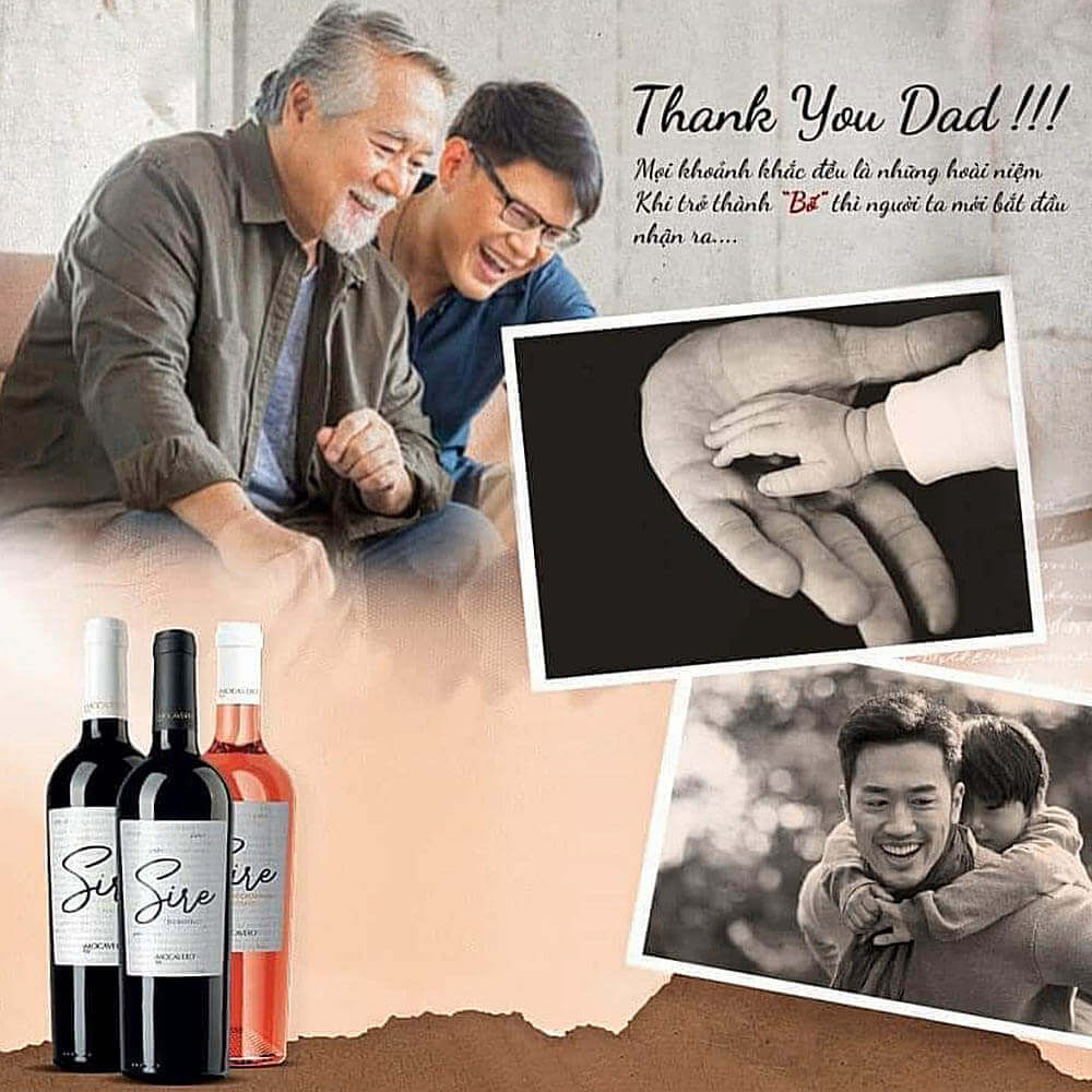 SIRE -Thank You Dad